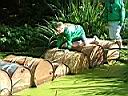 Resize of DSCF5922.JPG